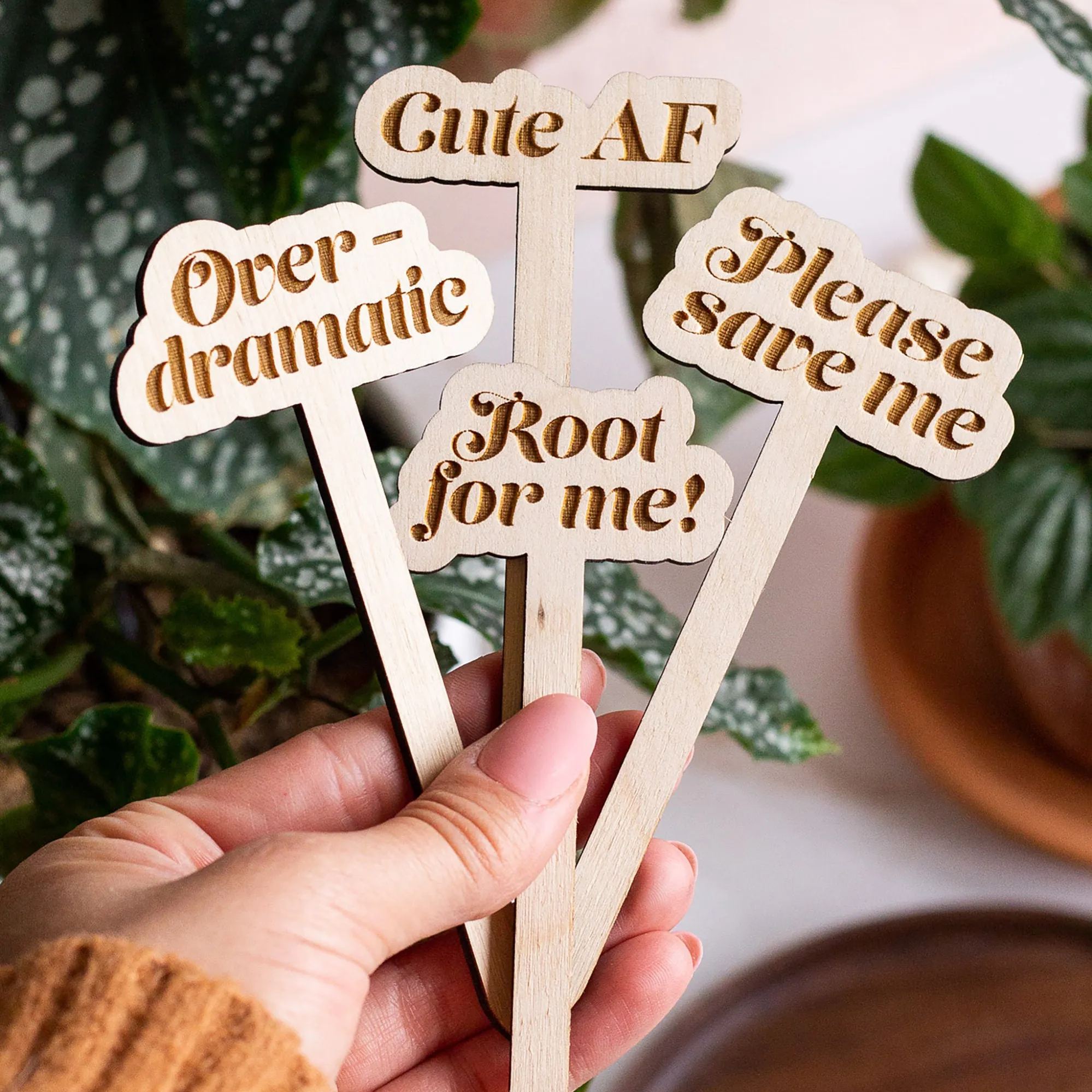 Funny Wooden Plant Stakes