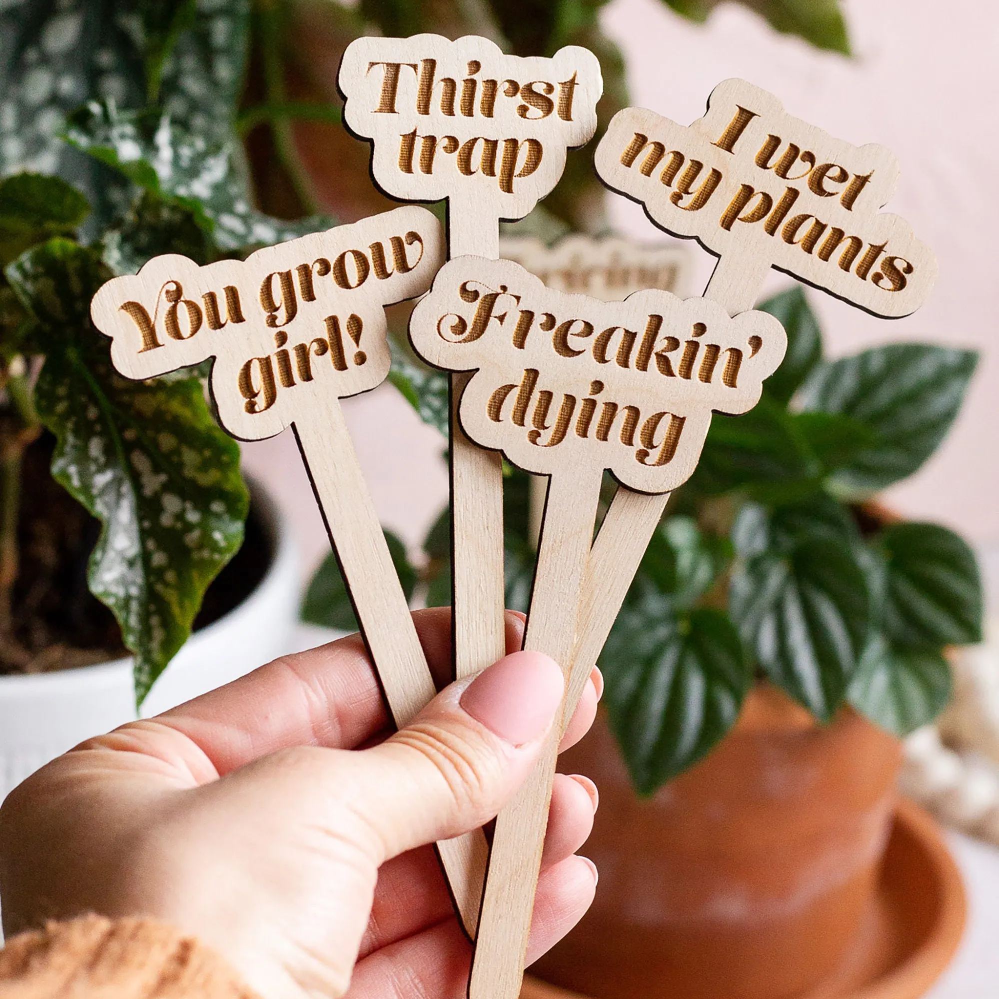 Funny Wooden Plant Stakes