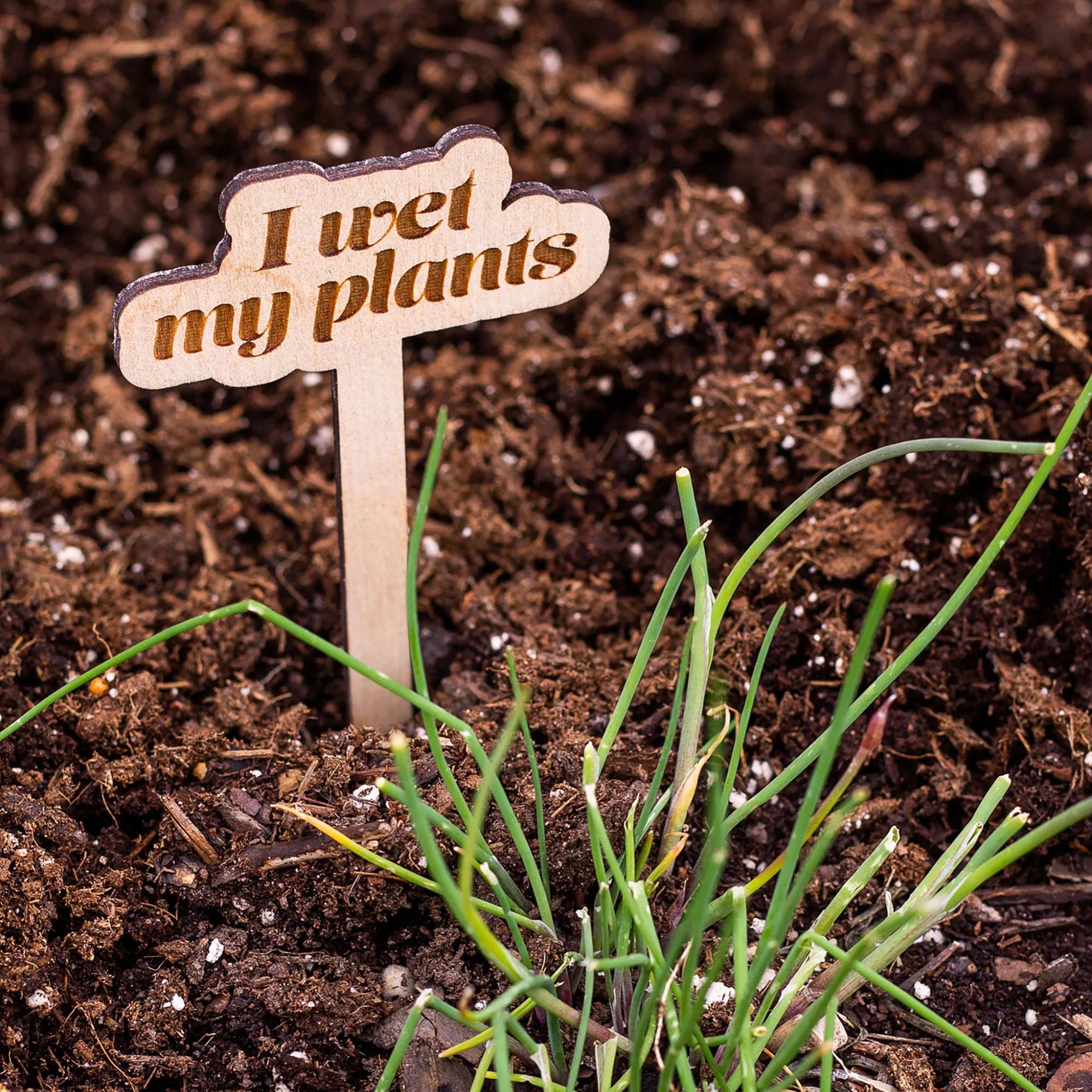 Funny Wooden Plant Stakes