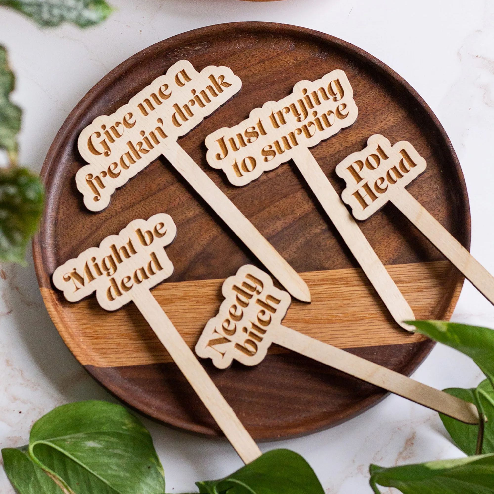 Funny Wooden Plant Stakes