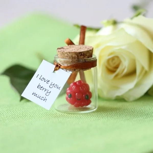 🎄Christmas Promotion🎄 Cute Homophonic Christmas Gift For Friends/Families/Neighbors