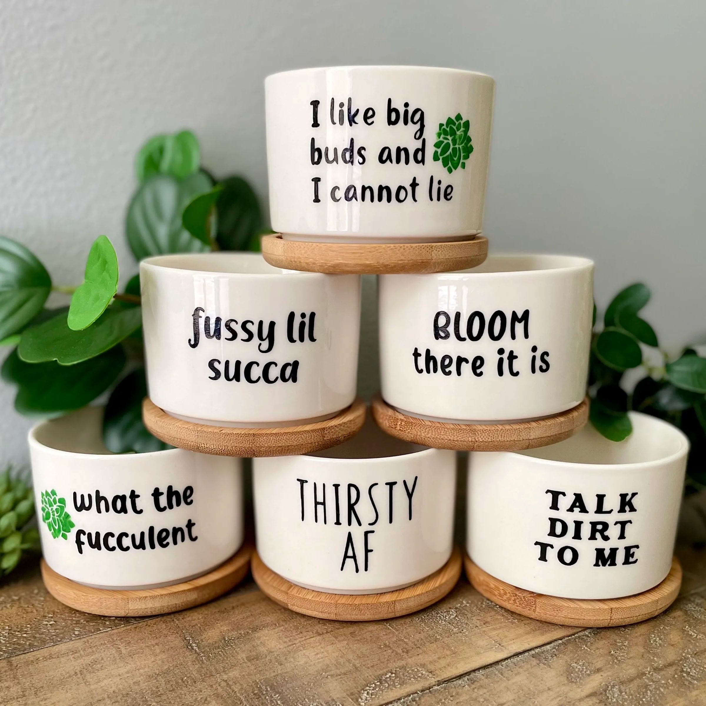 Funny unique succulent pots