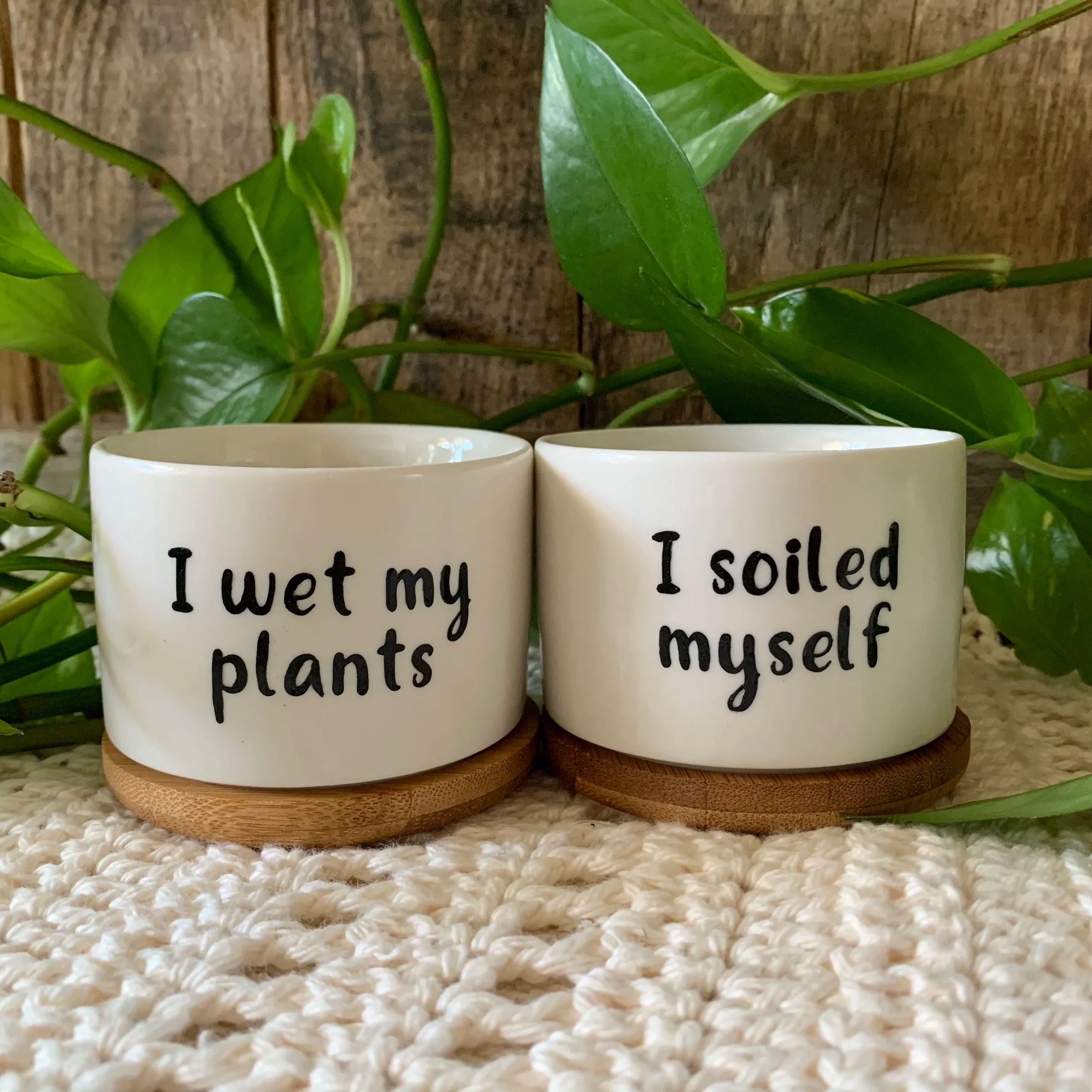 Funny unique succulent pots