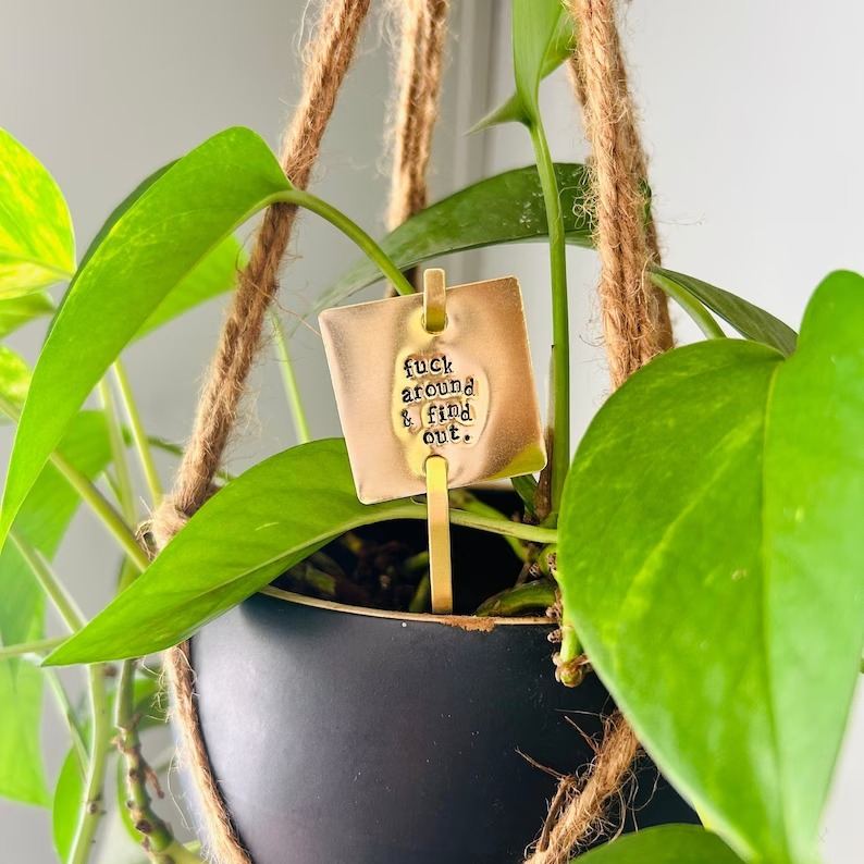 Funny Plant Stakes - I HAVE asked you THRICE now for water