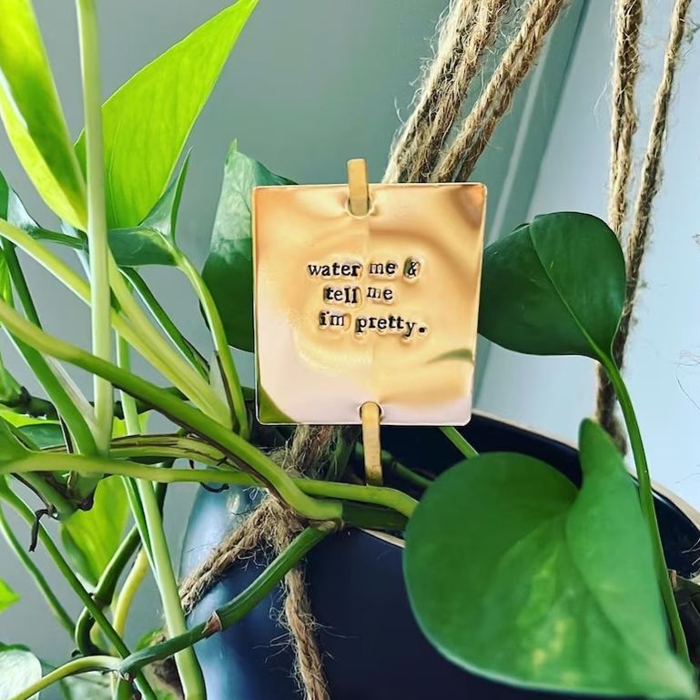 Funny Plant Stakes - I HAVE asked you THRICE now for water