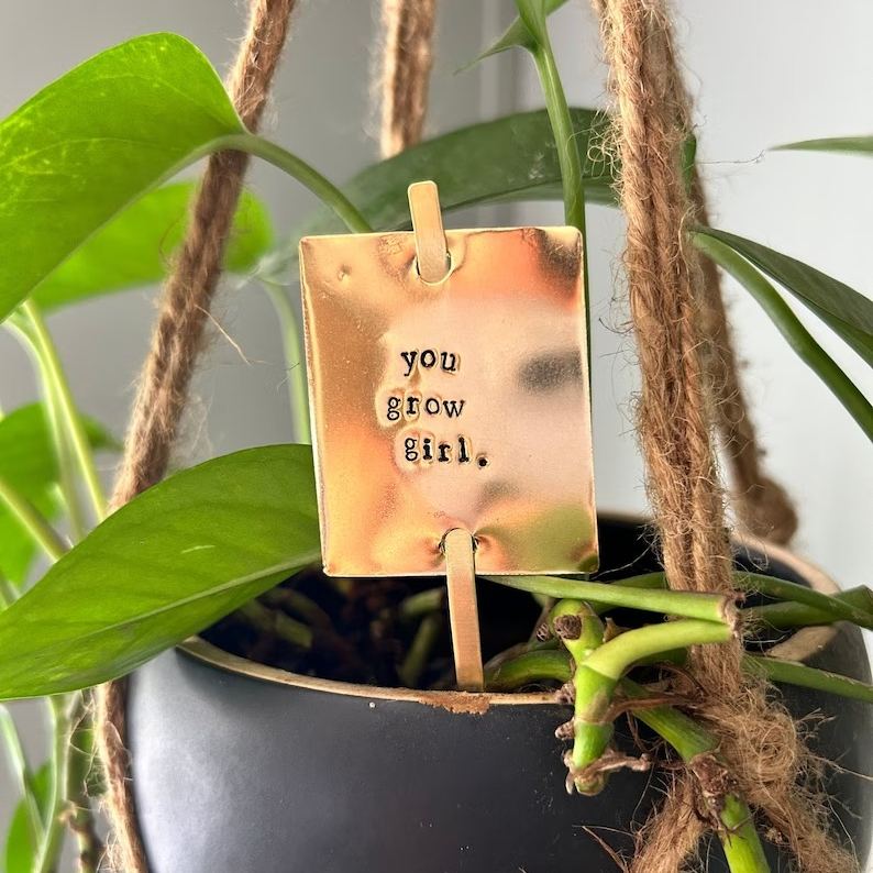 Funny Plant Stakes - I HAVE asked you THRICE now for water