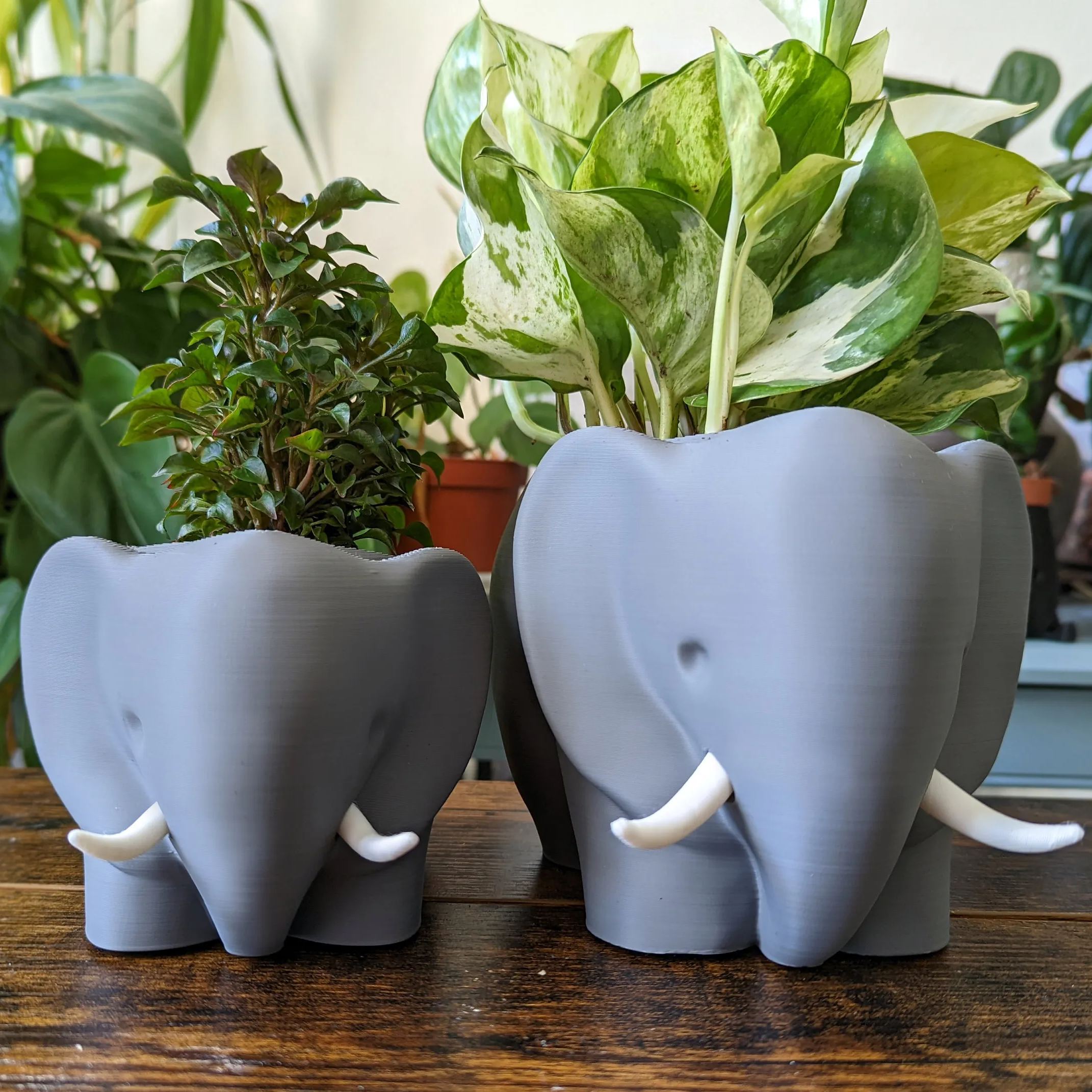 3D Printed Elephant Plant Pot