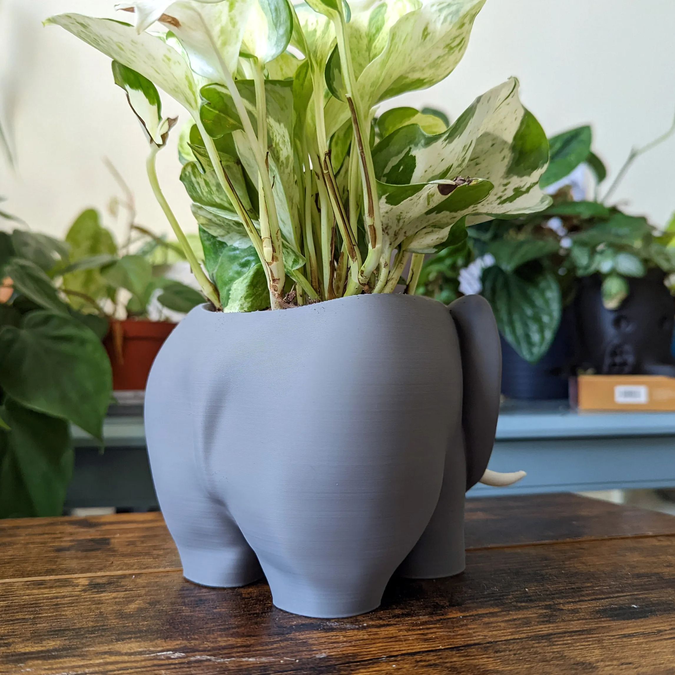 3D Printed Elephant Plant Pot