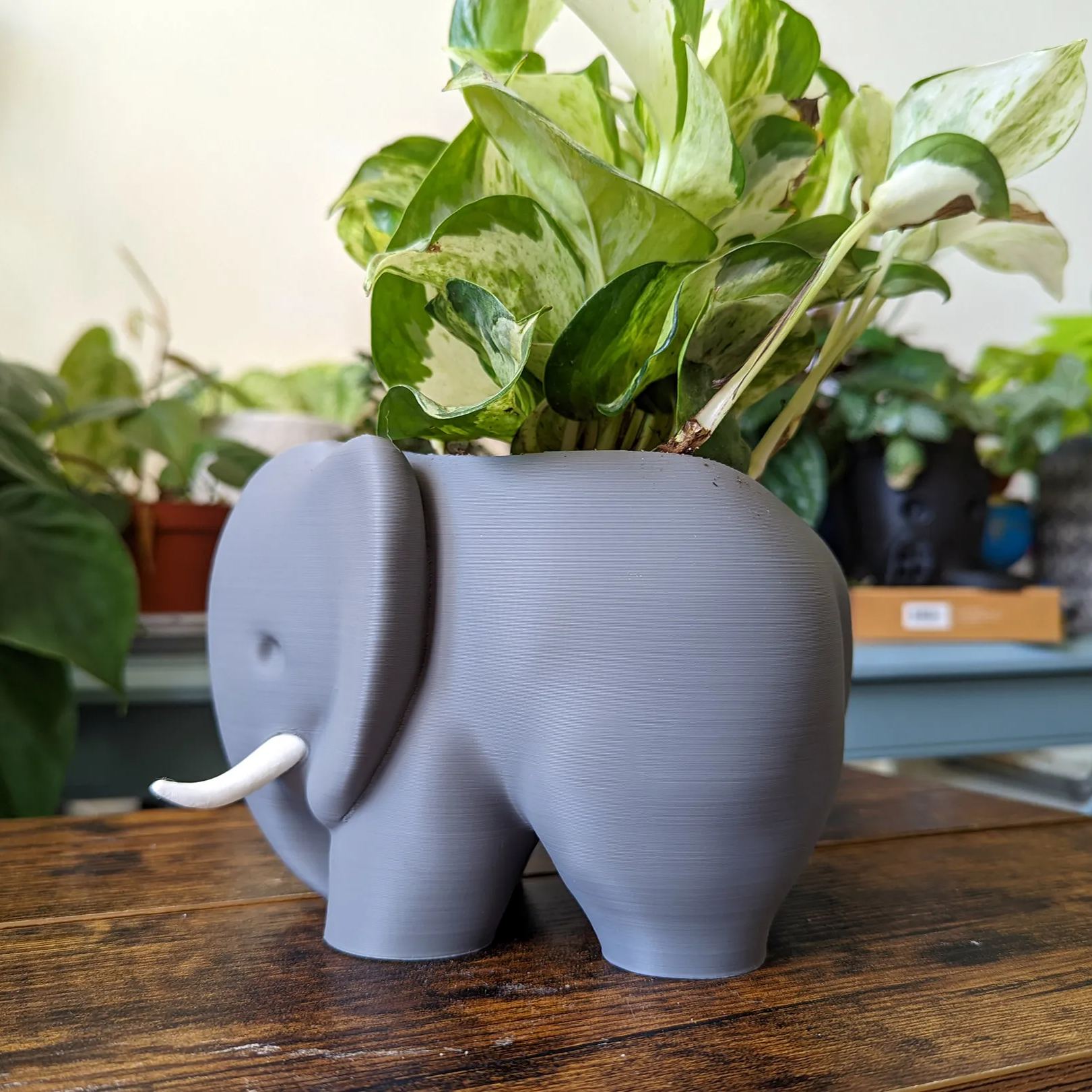 3D Printed Elephant Plant Pot