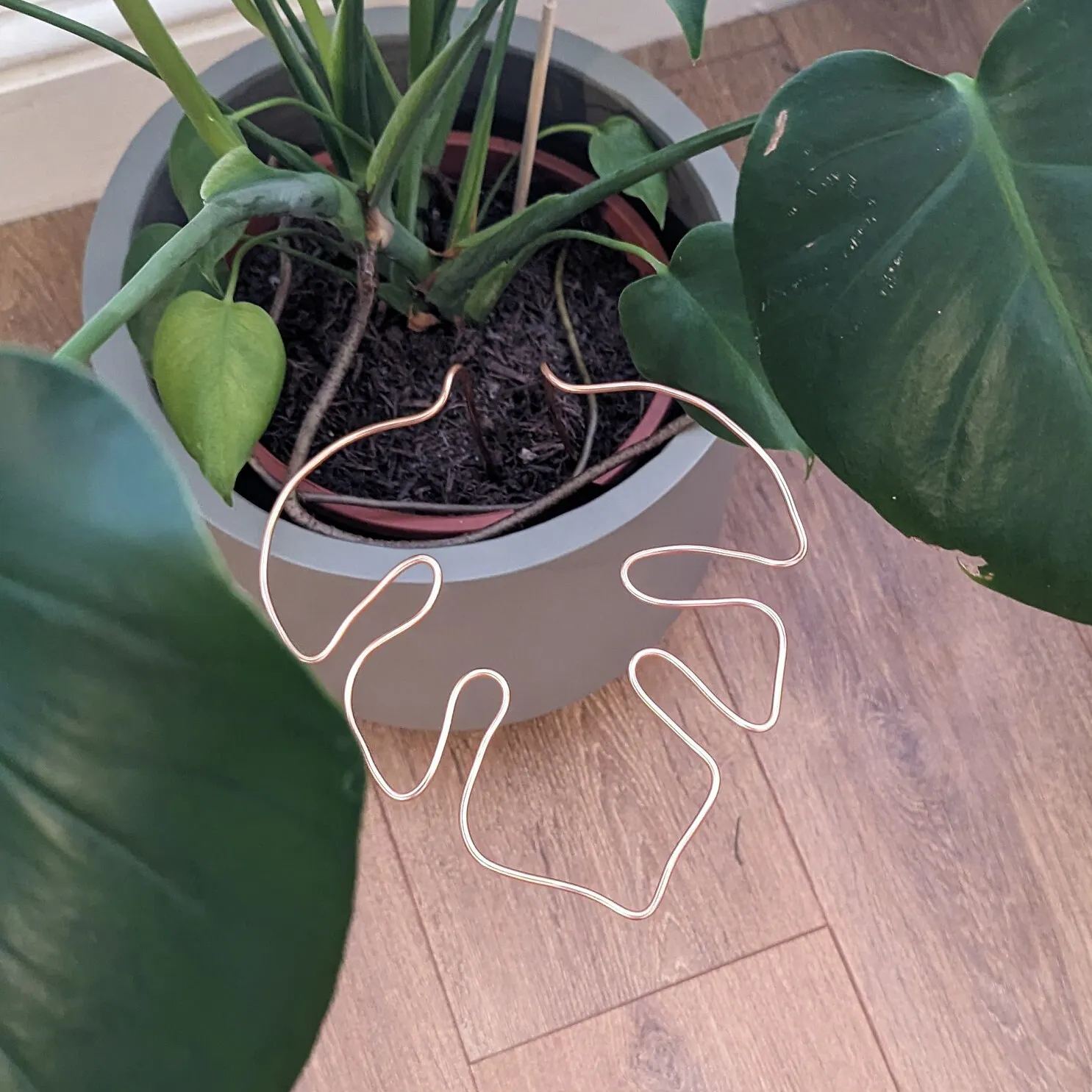 Monstera Shaped Plant Support 