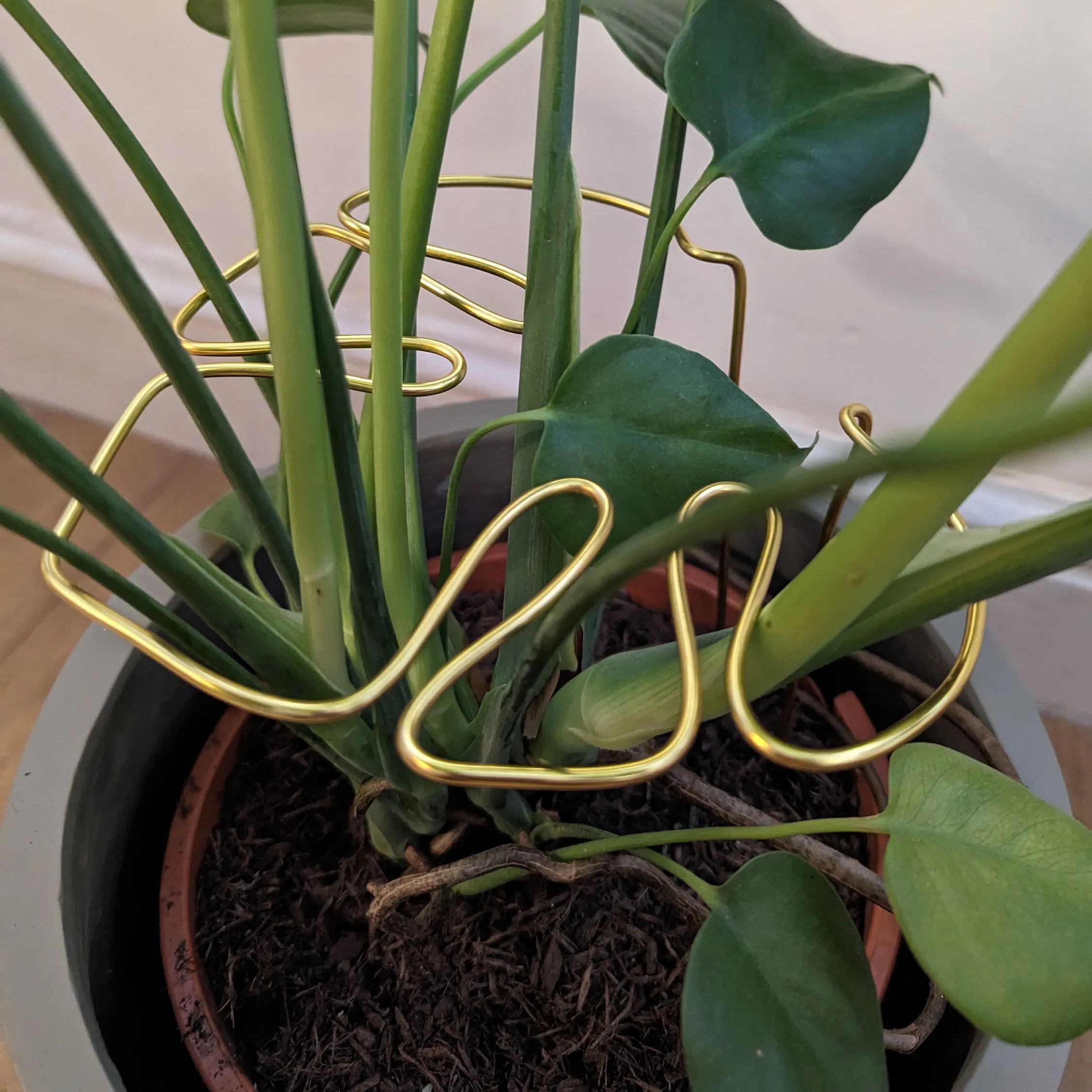 Monstera Shaped Plant Support 