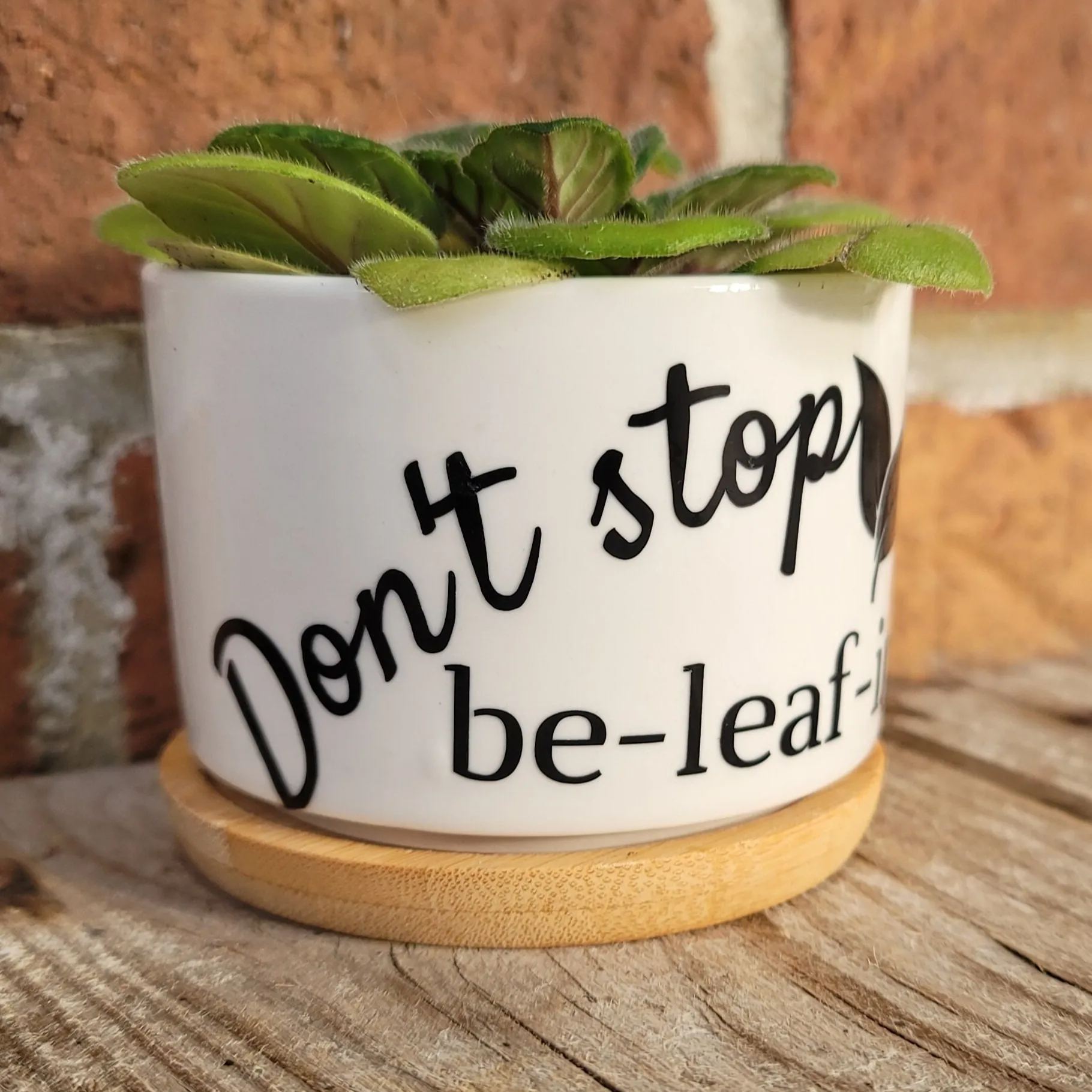Sassy Sayings Ceramic Plant Pot