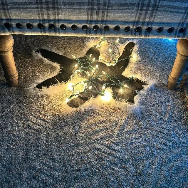 Fried Cat Faux Fur Trimmed Rug