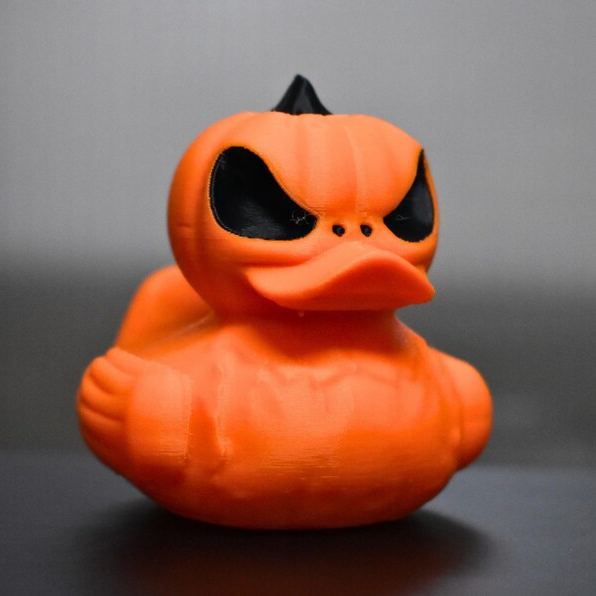 Wizard Duck