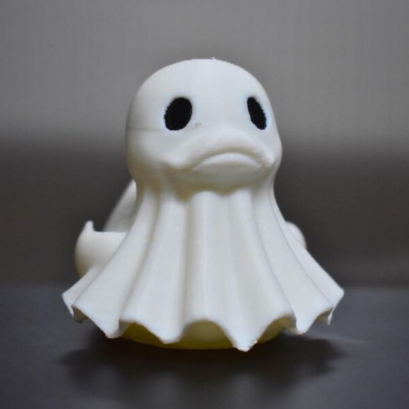 Wizard Duck