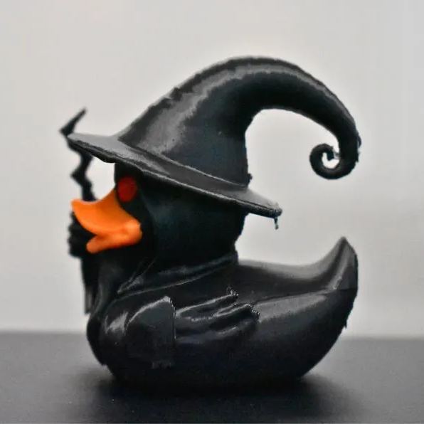 Wizard Duck
