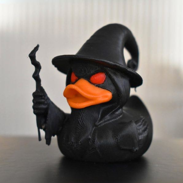 Wizard Duck