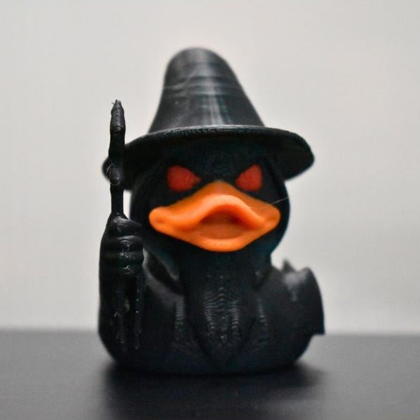 Wizard Duck