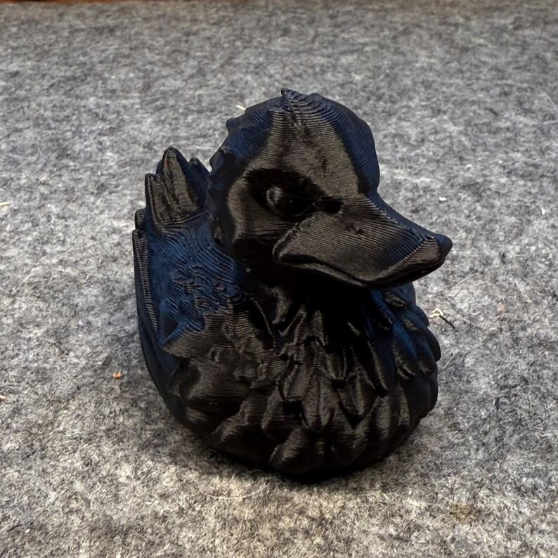 Wizard Duck