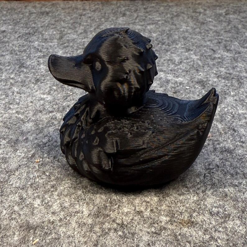 Wizard Duck