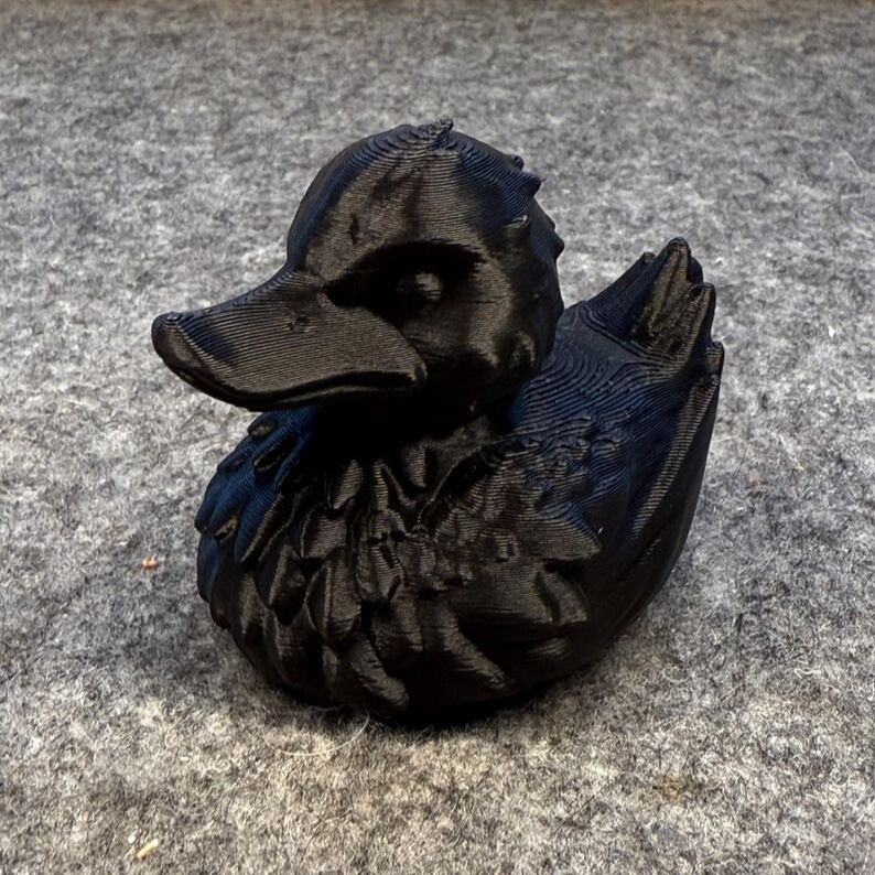 Wizard Duck