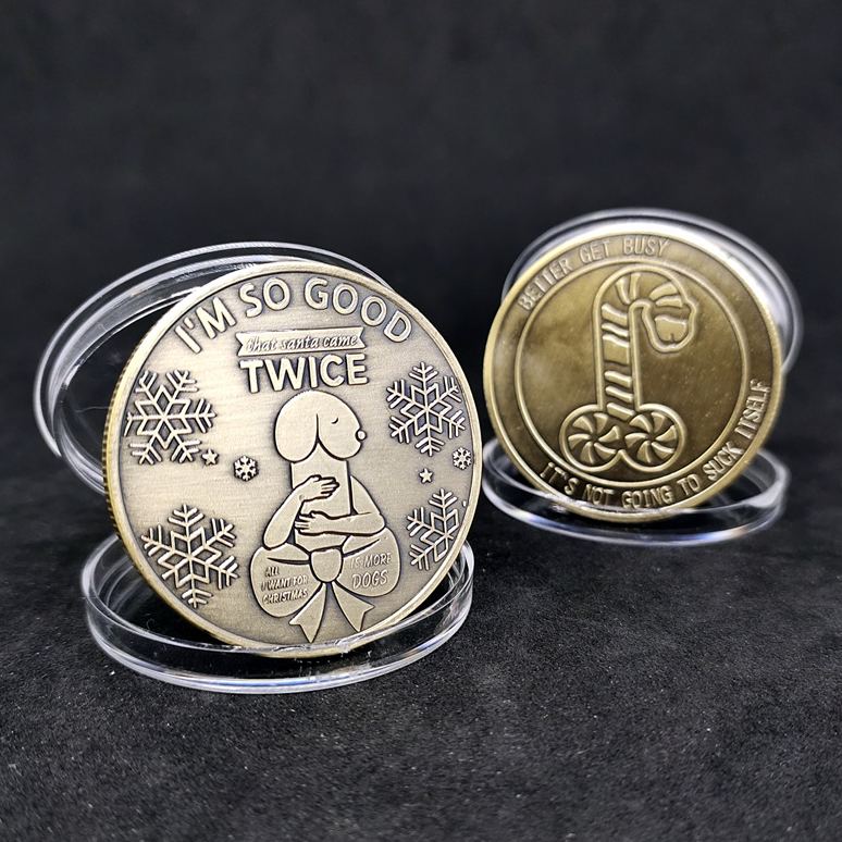 Playful Christmas Dog Lover’s Coin