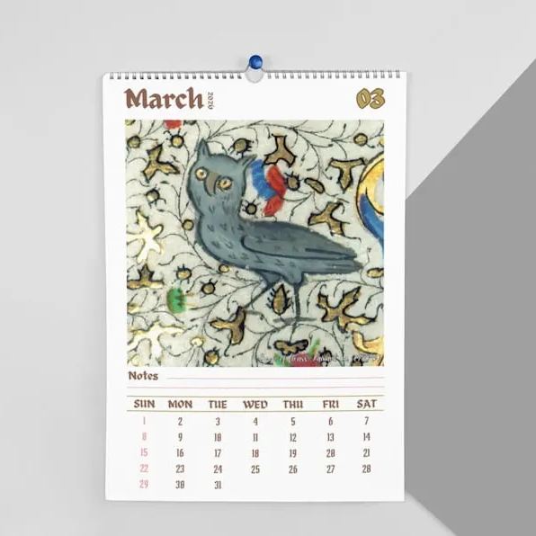 Funny Medieval Owl Calendar 2026