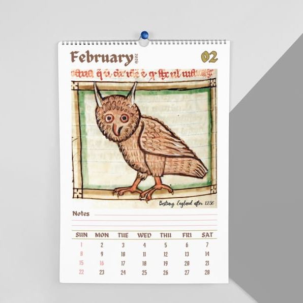 Funny Medieval Owl Calendar 2026