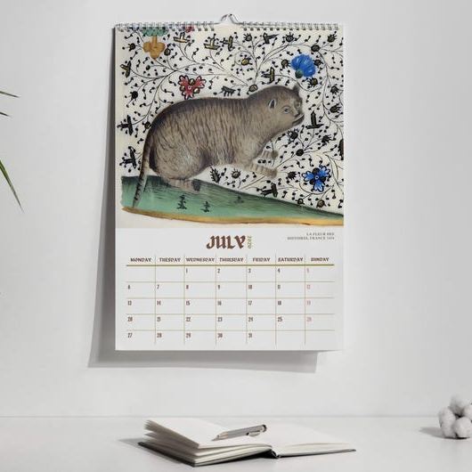 Funny Mediaval Cat Calendar 2026