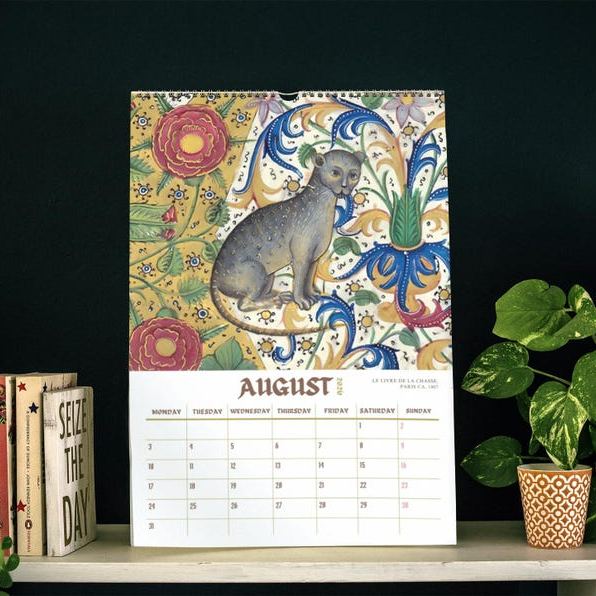 Funny Mediaval Cat Calendar 2026