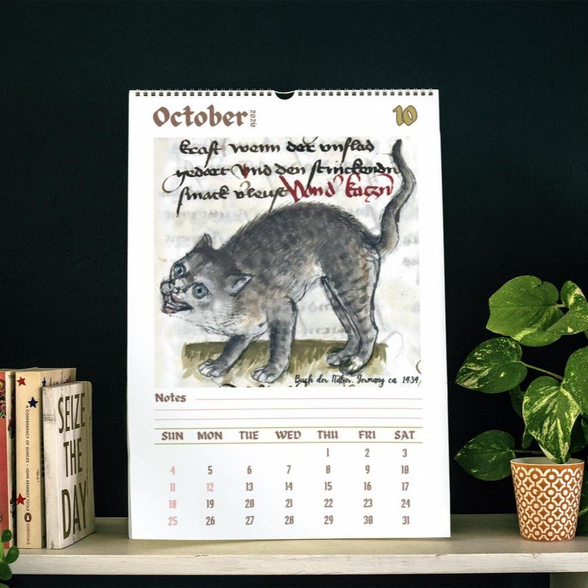 ​​Ugly Medieval Cats 2026 Wall Calendar​