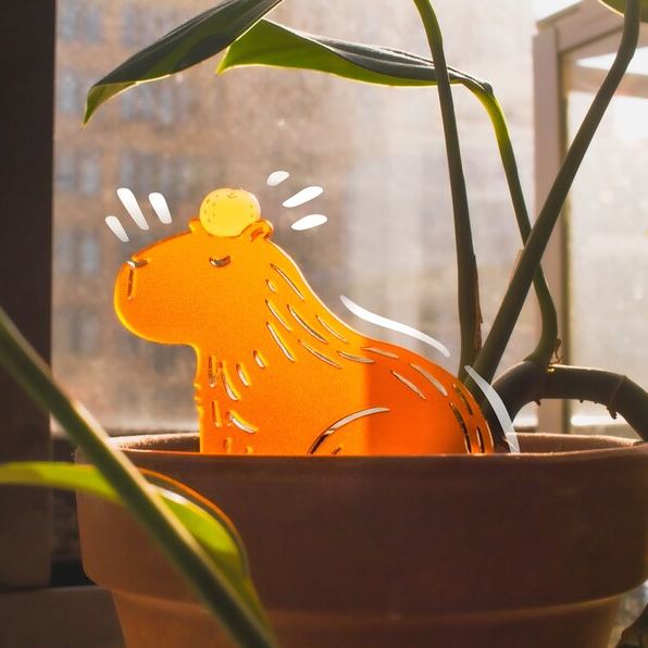 Capybara Plant Buds