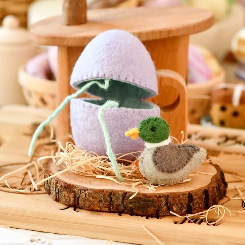 Surprise Easter Egg from Wool Felt
