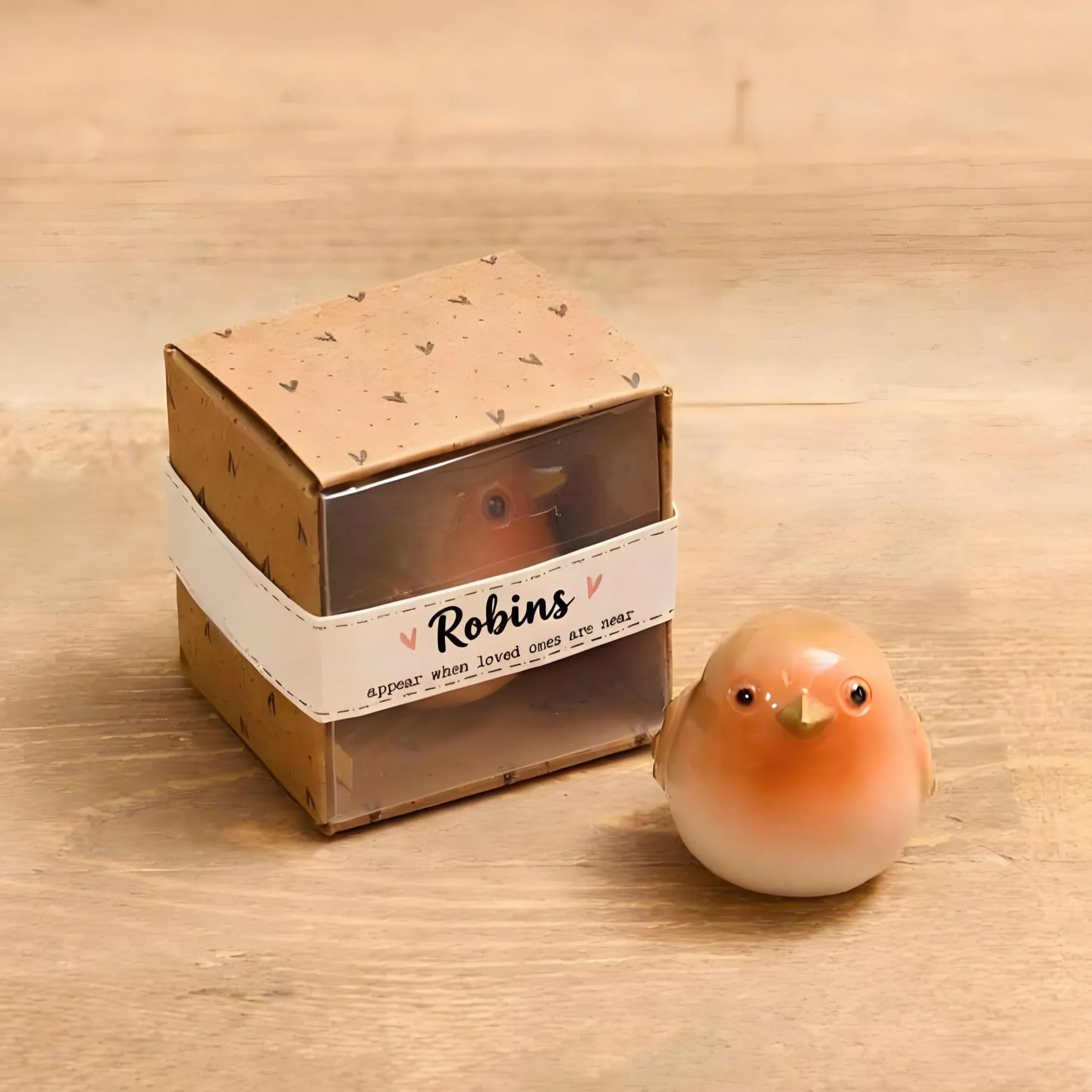 🕊️ Robin Appear When Loved Ones Are Near – Resin Keepsake Pocket Hug Ornament