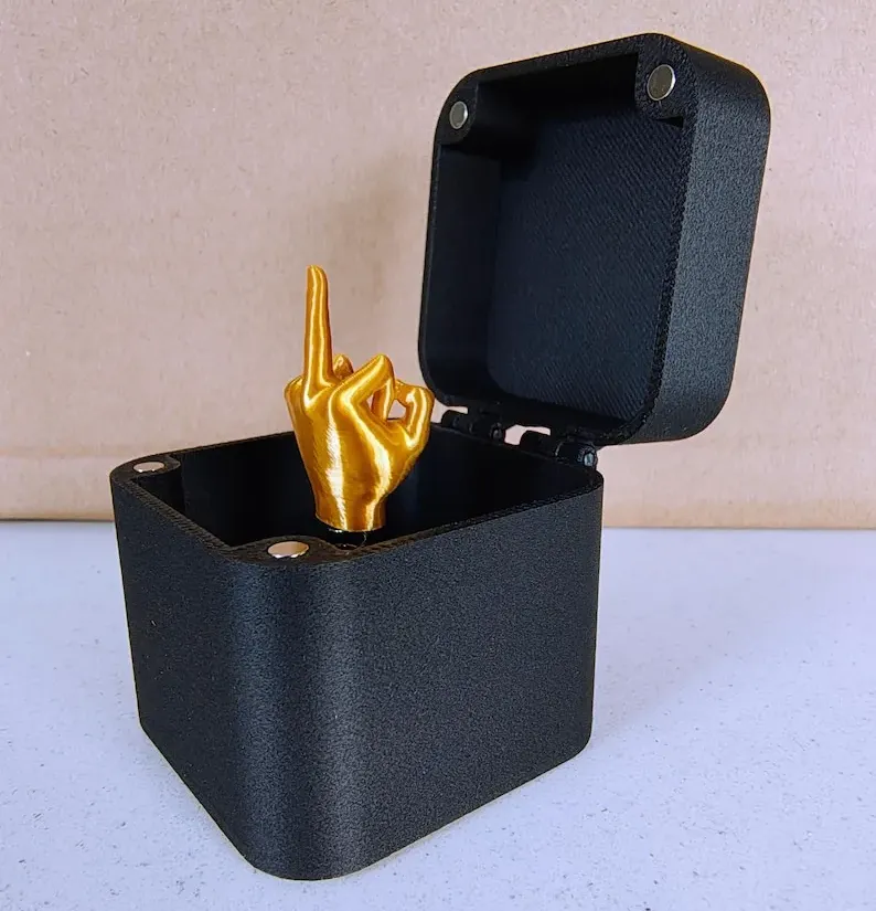 完美的礼物。盒子里的中指图片 2