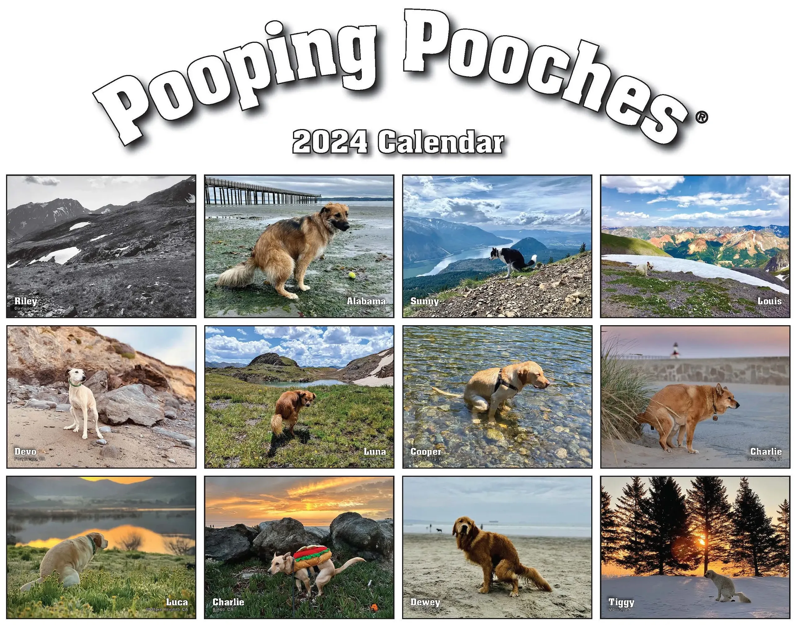 2024 Pooping Pooches Dog Calendar