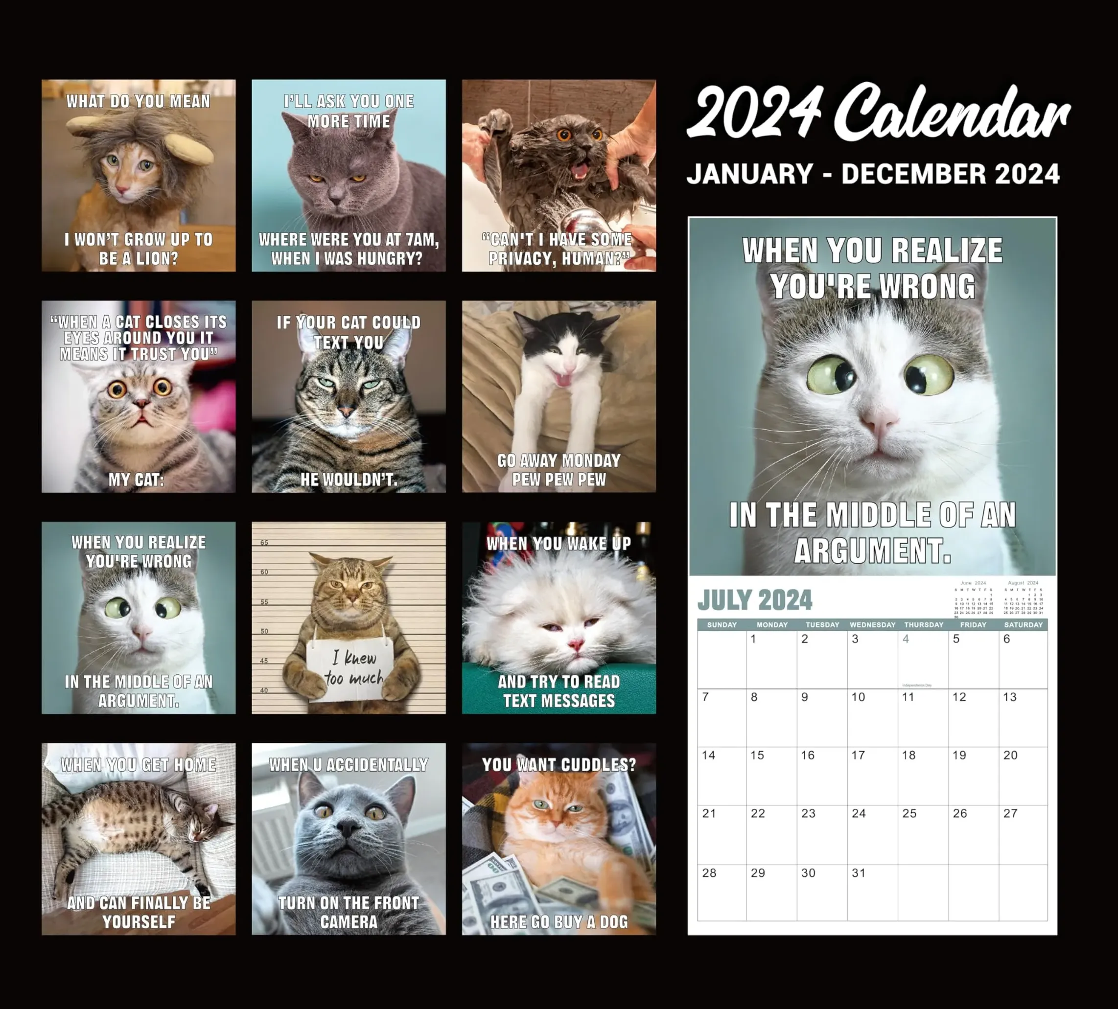 Funny Cat Calendar 2024