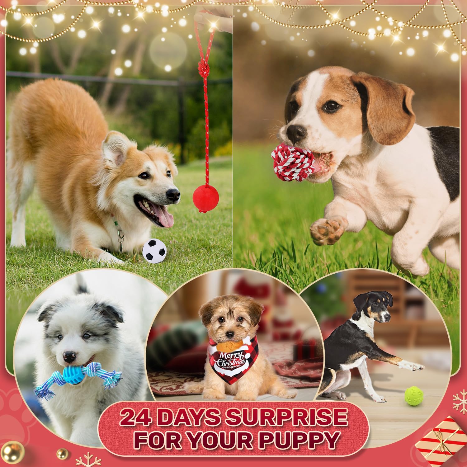 🐶2024 Christmas Countdown Dog Toys Advent Calendar