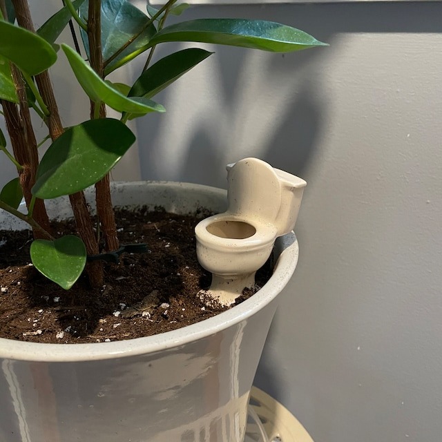 Funny Ceramic Plant Watering Spike