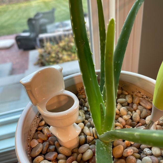 Funny Ceramic Plant Watering Spike