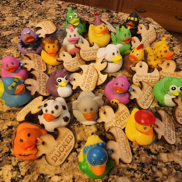 🦆LETS DUCK SOME JEEPS | JEEP DUCKS🚙