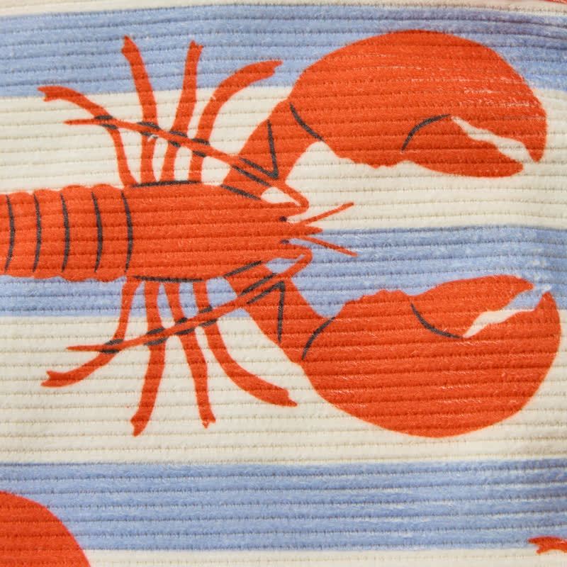 Baby Kleinkind Beige Blau Weiß Gestreifte Cord mit Hummermuster - image 6