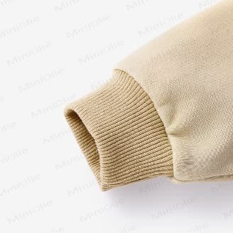 Kleinkind Sweatshirt mit Rundhalsausschnitt und Dinosaurier -Tasche - image 5