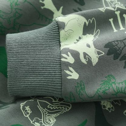 Sweatshirt mit Dinosaurier - Grau Grün - image 5