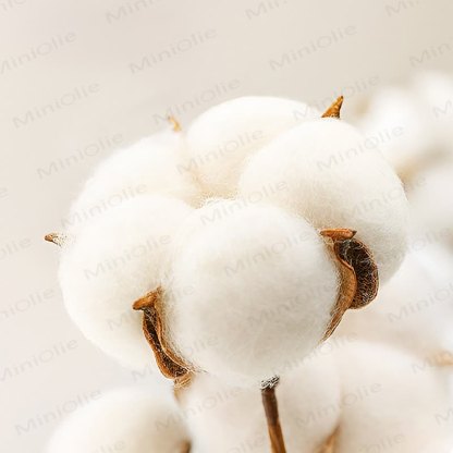 Baby Strampler mit Pilz-Patch und Waffel - image 14