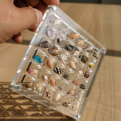 Natural small shell collection box-contains shells