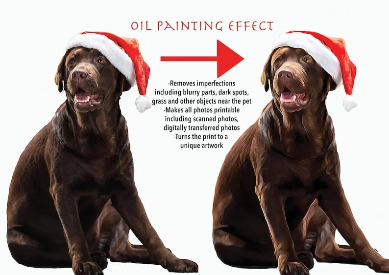 Custom Dog Face Blankets, Personalized Pet Photo Blanket, Fleece Dog Blankets,Custom Pet Blanket , Dog Dad Gifts, Pet Lover Gifts