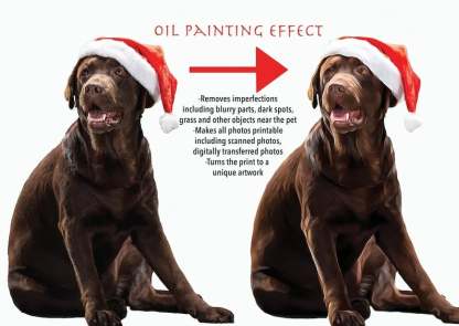 Custom Dog Face Blankets, Personalized Pet Photo Blanket, Fleece Dog Blankets,Custom Pet Blanket , Dog Dad Gifts, Pet Lover Gifts