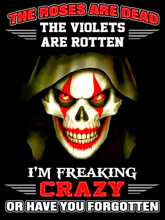 The Roses Are Dead The Violets Are Rotten I'm Freaking Crazy Or Have You Forgotten Men's Short Sleeve  Printed T-shirt-