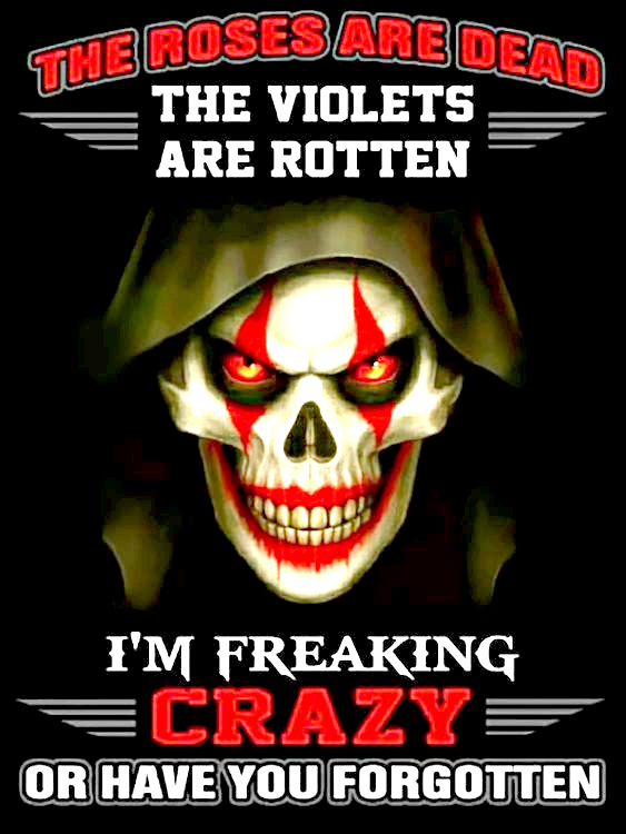 The Roses Are Dead The Violets Are Rotten I'm Freaking Crazy Or Have You Forgotten Men's Short Sleeve  Printed T-shirt-